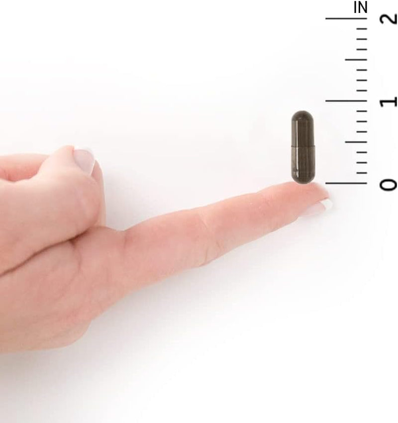 Probiotics for Digestive Health Balance, Primal Defense Ultra Ultimate Formula, 15 Billion CFU and 13 Strains plus Hsos, Vegetarian and Gluten Free, 90 Capsules