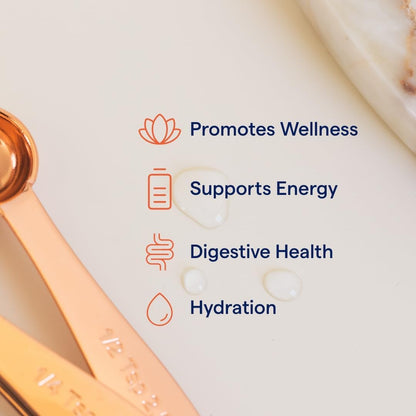 Concentrace Trace Mineral Drops | Supports Energy, Digestion, Bone Health & Hydration, 70+ Ionic  W/Magnesium, Chloride & Potassium | Keto, Vegan & Non-Gmo | 6 Servings