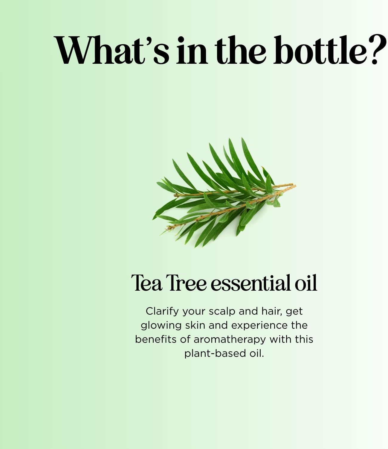 Pure Tea Tree Oil for Hair Skin and Nails - 100% Pure Undiluted Tea Tree Essential Oil with Dropper for Topical Uses Aromatherapy Diffusing and Home and Beauty Diys - Vegan and Cruelty Free (1 Fl Oz)