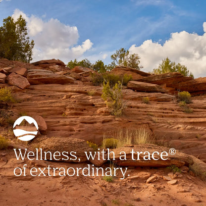 Minerals Bentonite Clay - Bentonite Clay Mask for Clear Skin - Face & Body Mask - Deep Cleaning - Remove Impurities - 100% Natural - 16 Oz (15 Servings)