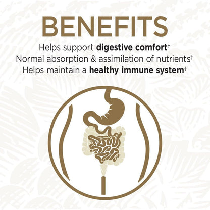 Probiotics for Digestive Health Balance, Primal Defense Ultra Ultimate Formula, 15 Billion CFU and 13 Strains plus Hsos, Vegetarian and Gluten Free, 90 Capsules