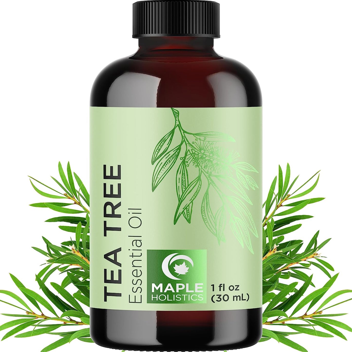 Pure Tea Tree Oil for Hair Skin and Nails - 100% Pure Undiluted Tea Tree Essential Oil with Dropper for Topical Uses Aromatherapy Diffusing and Home and Beauty Diys - Vegan and Cruelty Free (1 Fl Oz)